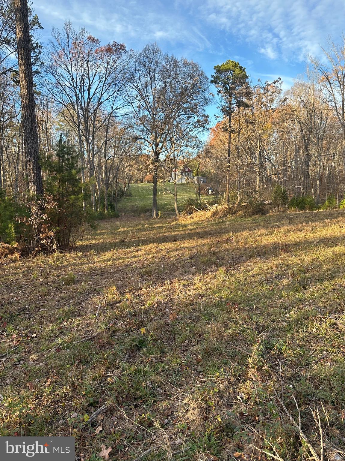 9042 Poindexter Road Louisa, VA 23093 - Photo 45 of 46