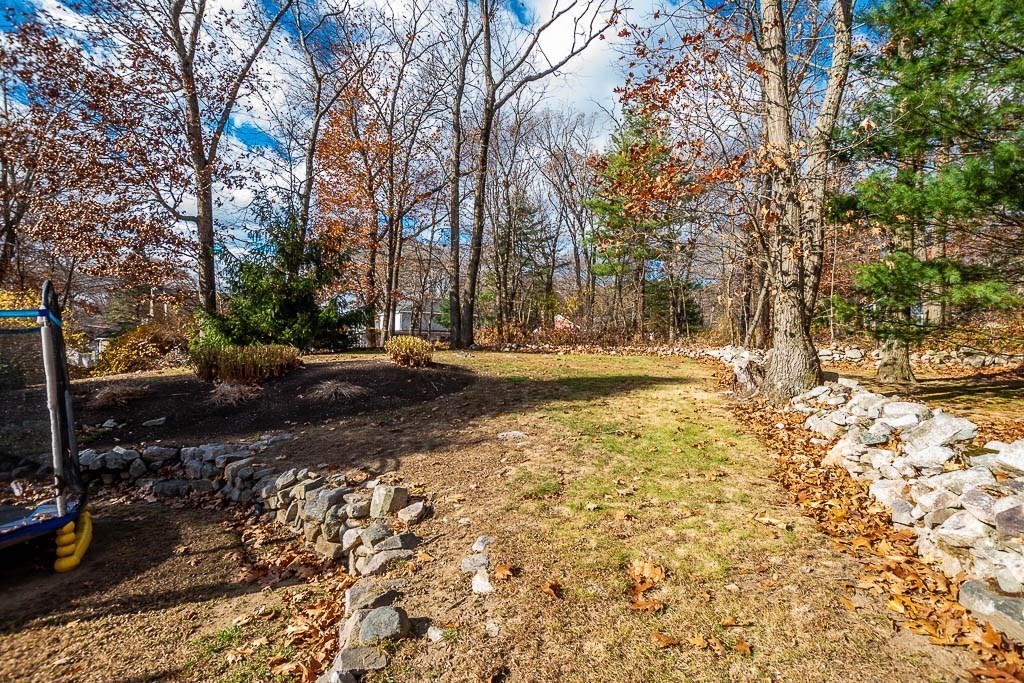 61 Ledgewood Road Dedham, MA 02026 - Photo 33 of 41 a view of yard with trees