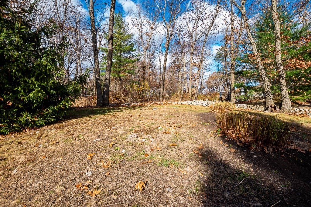 61 Ledgewood Road Dedham, MA 02026 - Photo 36 of 41 a view of a yard with trees