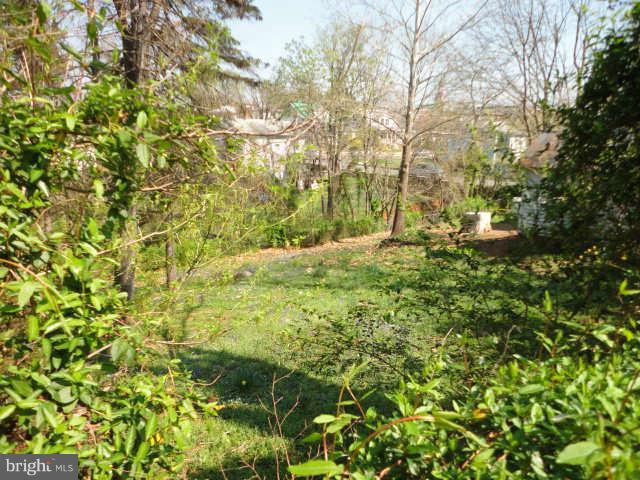 210 South Blue Ridge Avenue Culpeper, VA 22701 - Photo 22 of 25 Exterior Rear
