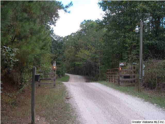 3702 Riverbend Road West Blocton, AL 35184 - Photo 3 of 23