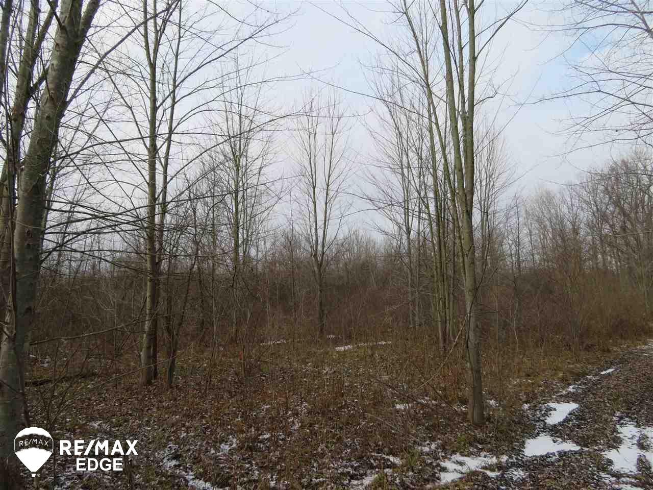 0 Flintlock Road Mount Morris, MI 48458 - Photo 6 of 10 Gallery Image 6