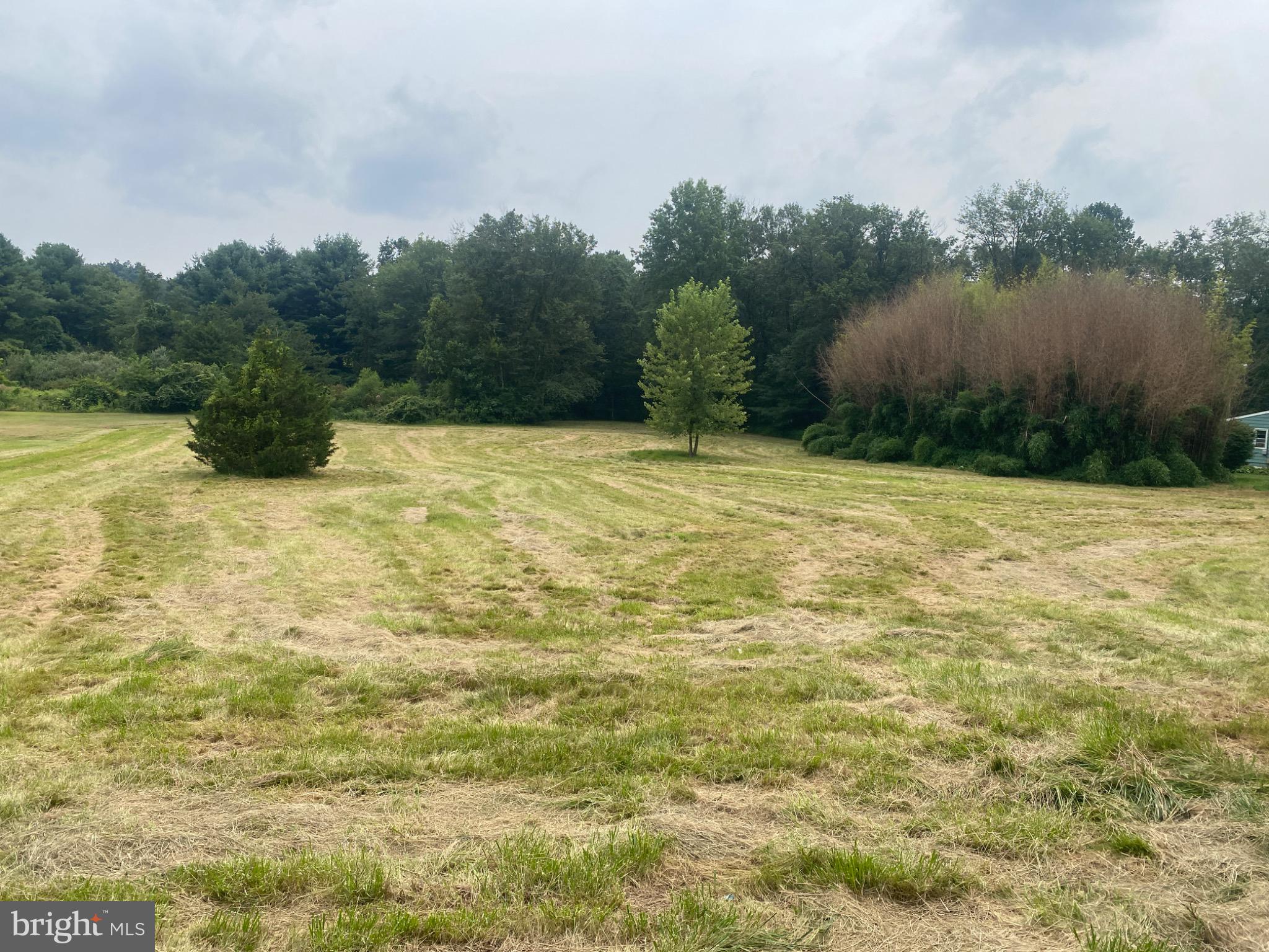 0 Fishing Creek Valley Road Harrisburg, PA 17112 - Photo 2 of 3 a view of a yard with a lake