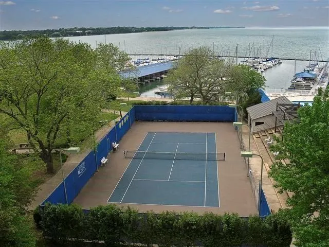 a view of a yard with plants