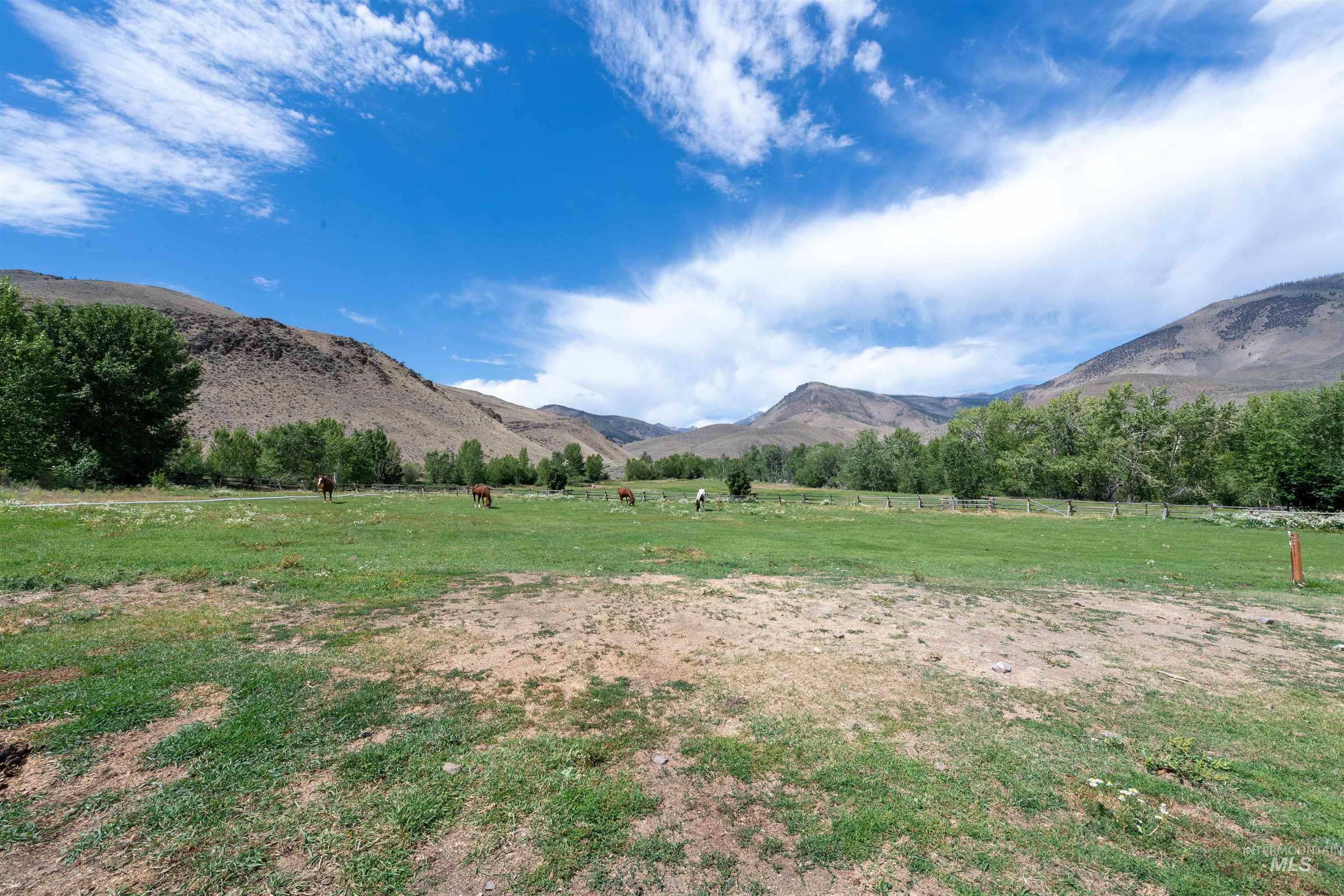 9885 Challis Creek Road Challis, ID 83226 - Photo 35 of 48 View of mountain backdrop with rural landscape