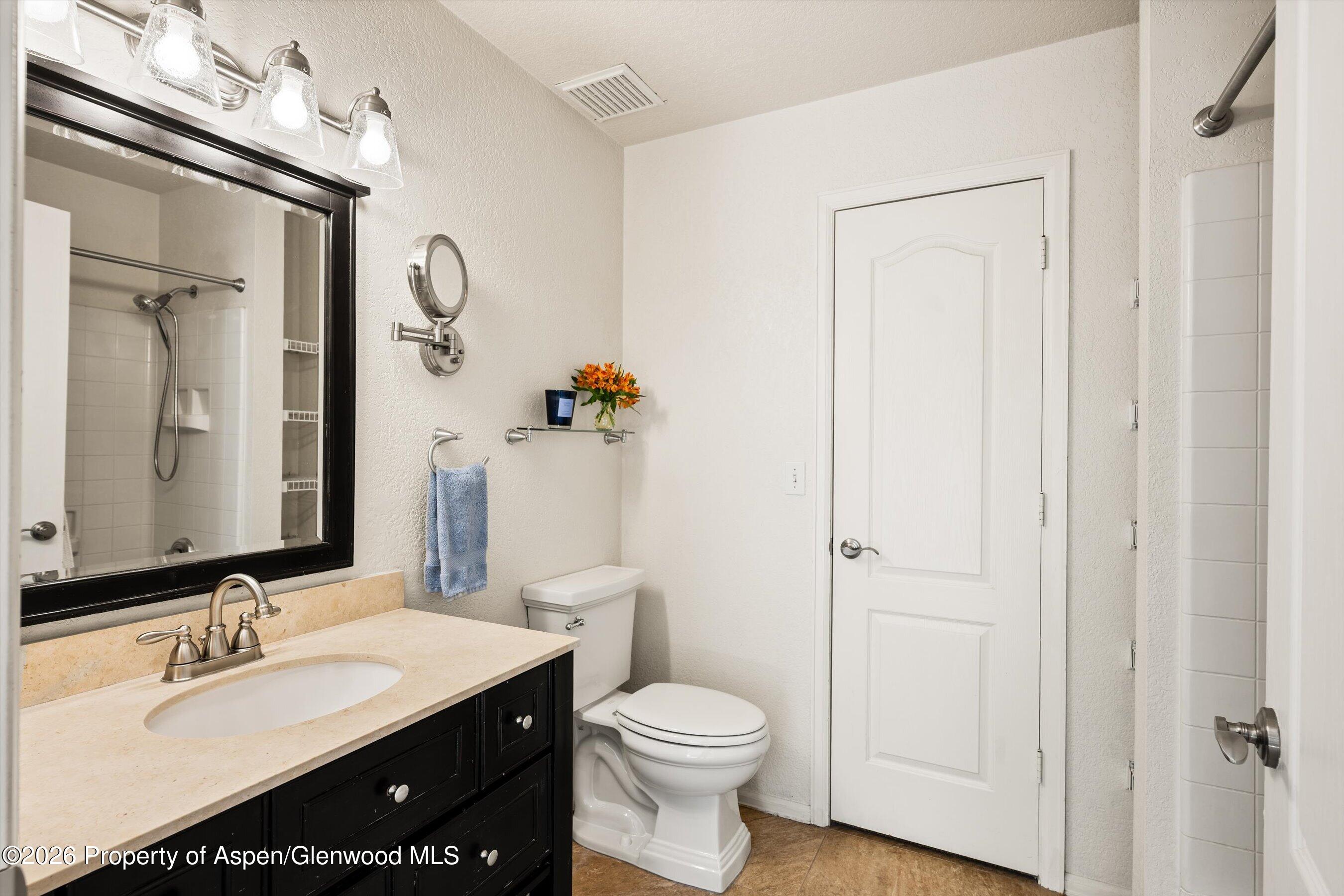 5202 Elk Lane Basalt, CO 81621 - Photo 8 of 22 Primary en suite Bathroom