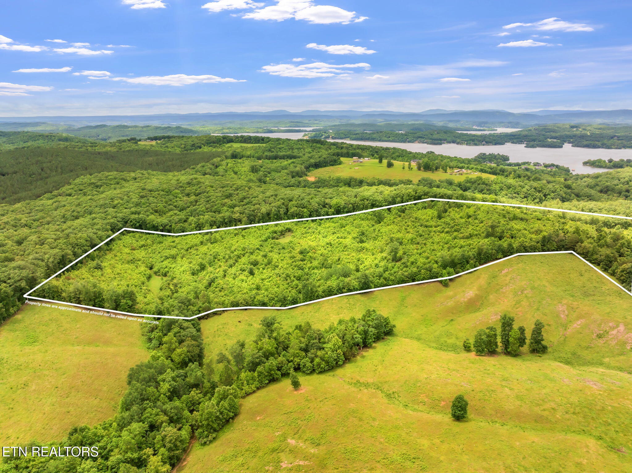 0 Grigsby Hollow Road Kingston, TN 37763 - Photo 9 of 34 7-web-or-mls-Grigsby Hollow Land-6-1