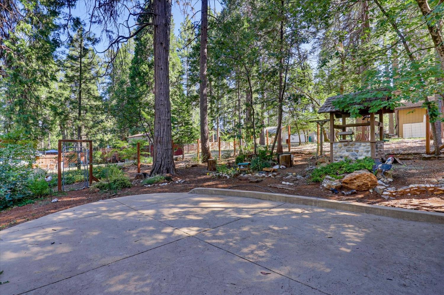 12692 Red Dog Road Nevada City, CA 95959 - Photo 37 of 43