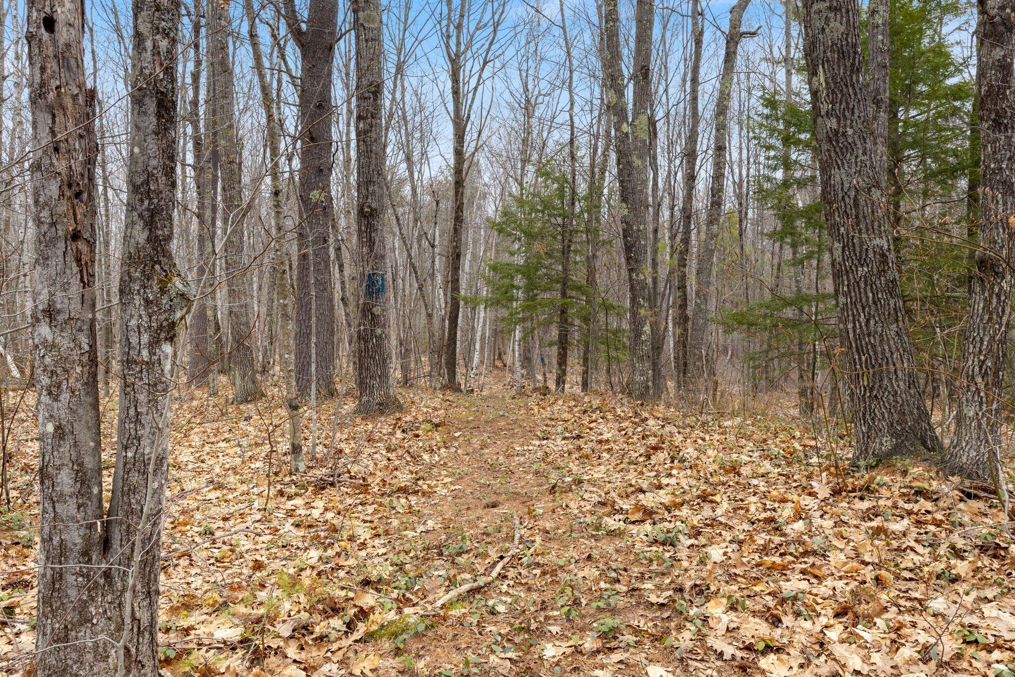 97 Tenny Hill Road Raymond, ME 04071 - Photo 49 of 63 97_Tenney_Hill_Rd_146