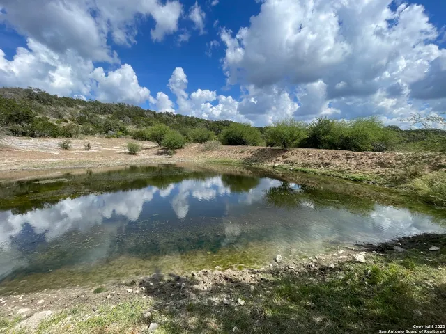 an aerial view of houses covered in trees