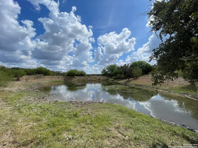 an aerial view of forest