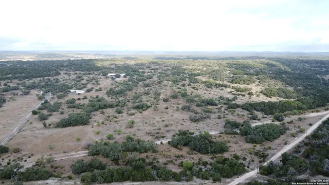 a view of a yard with trees