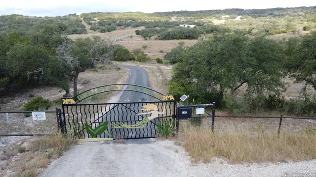 a view of a forest with a trees