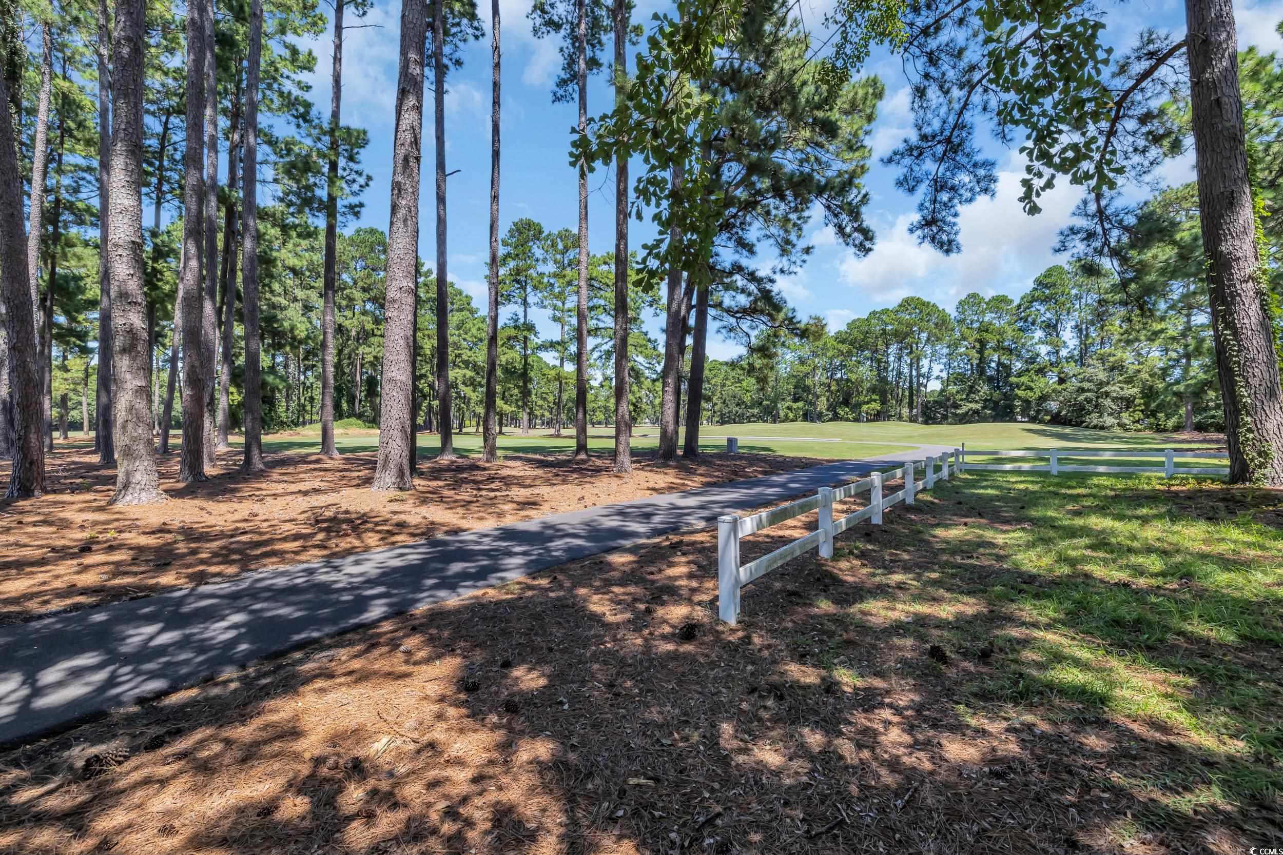 208 Lander Drive Conway, SC 29526 - Photo 37 of 40 View of property's community featuring view of wooded area and a yard
