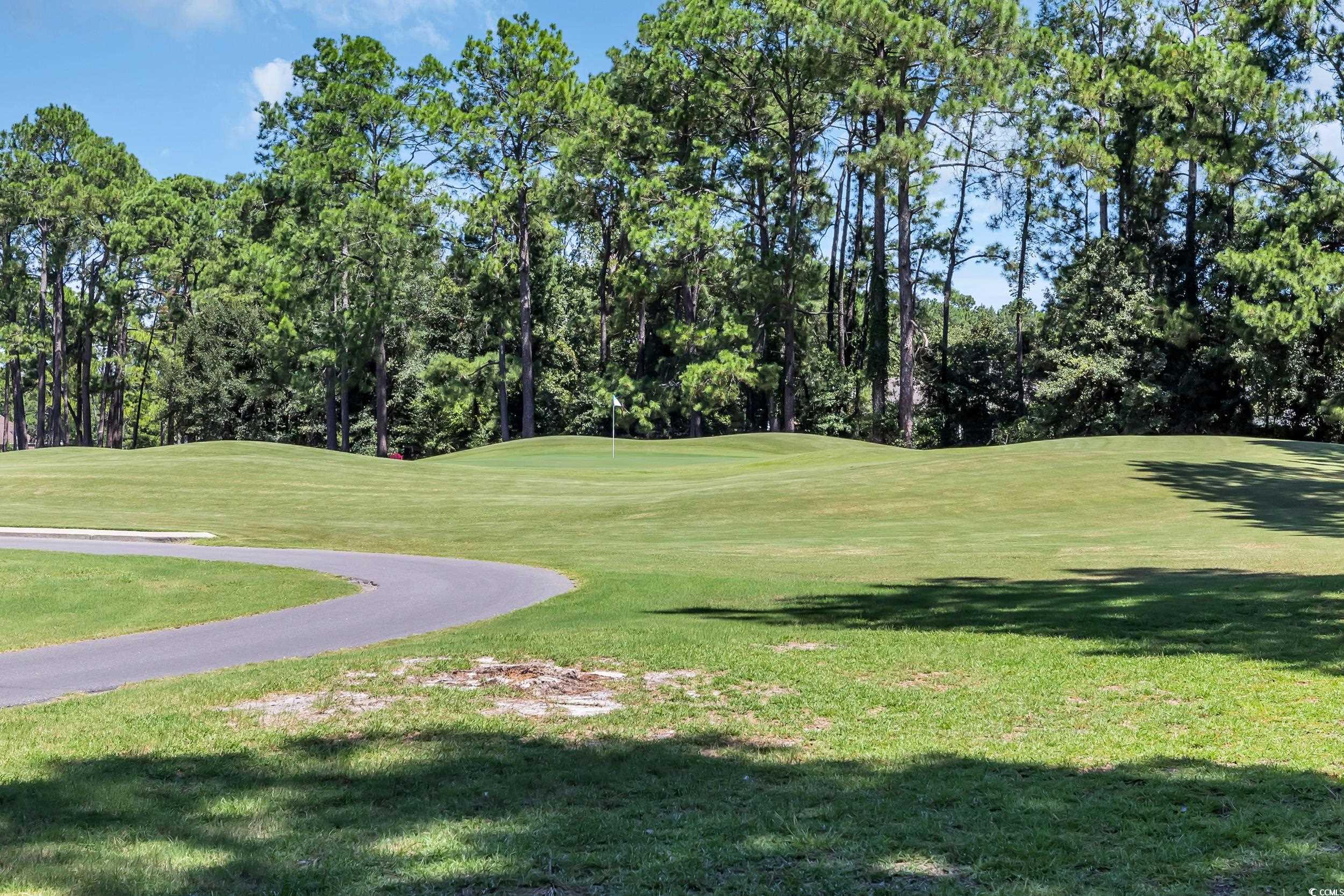 208 Lander Drive Conway, SC 29526 - Photo 38 of 40 Surrounding community with a lawn, view of scattered trees, and golf course view