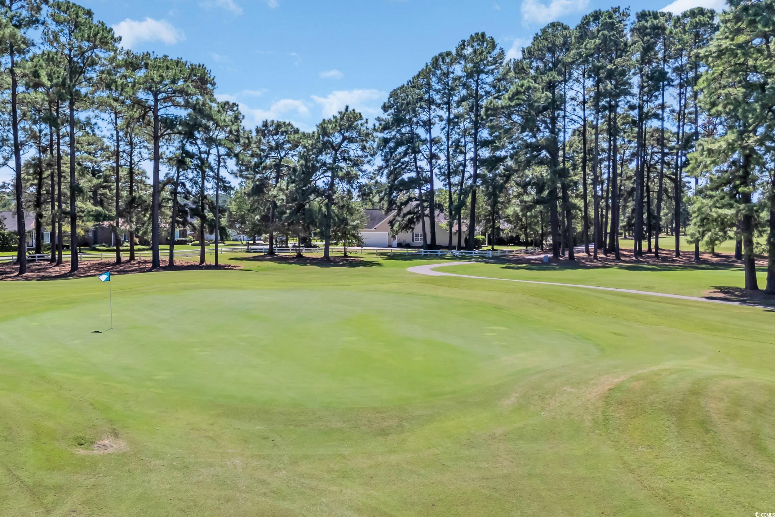 208 Lander Drive Conway, SC 29526 - Photo 39 of 40 View of property's community featuring view of wooded area and view of golf course