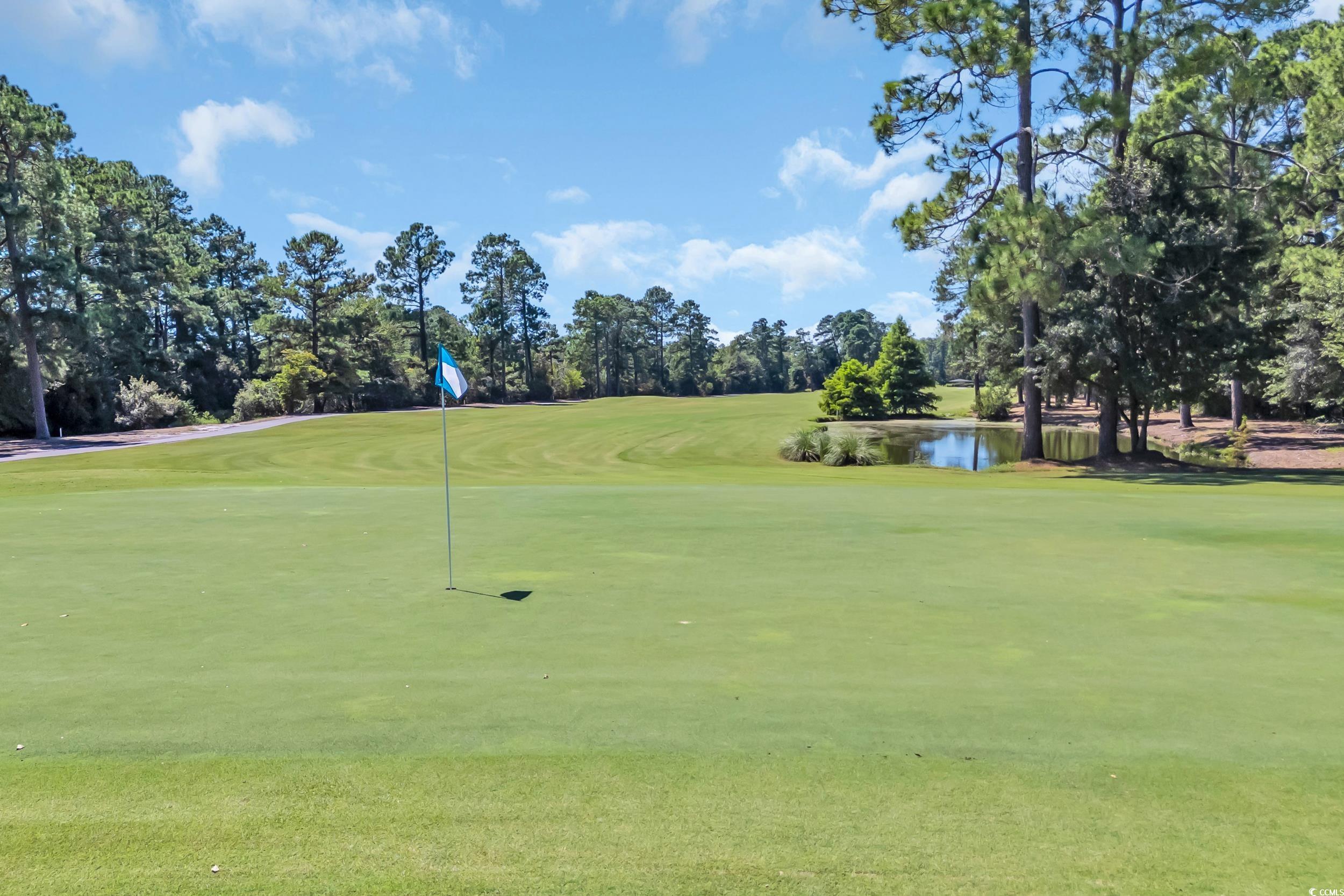 208 Lander Drive Conway, SC 29526 - Photo 40 of 40 View of property's community featuring view of wooded area, golf course view, a water view, and a lawn