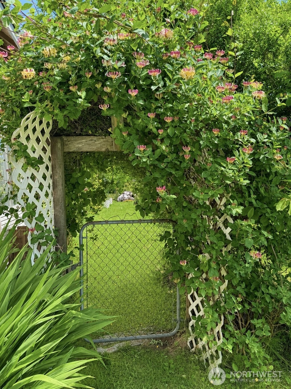 902 Harding Road Aberdeen, WA 98520 - Photo 15 of 18 a view of a garden