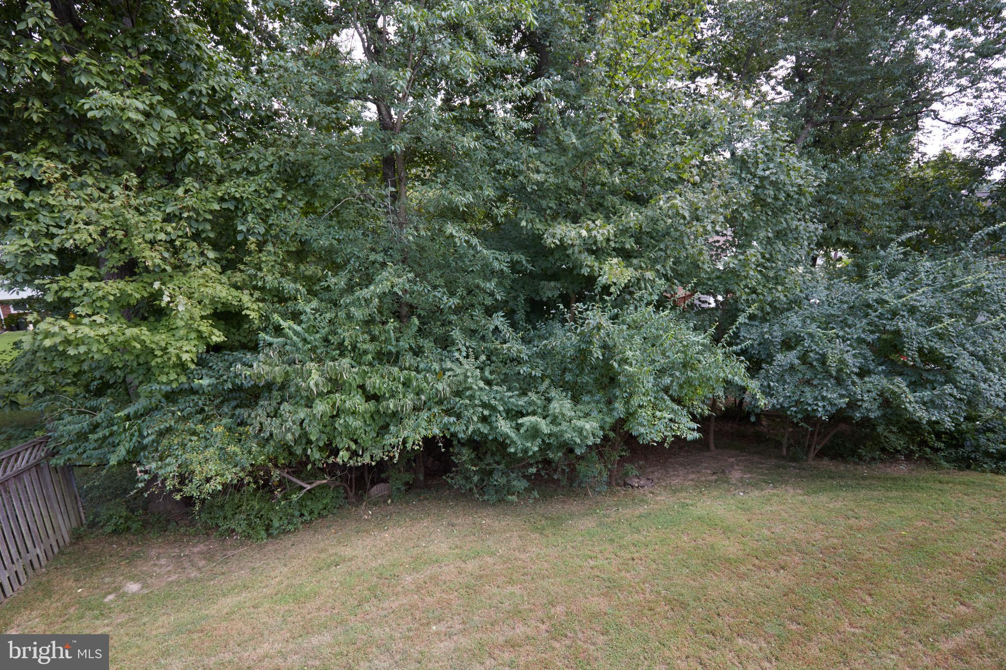 312 Hannes Street Silver Spring, MD 20901 - Photo 31 of 33