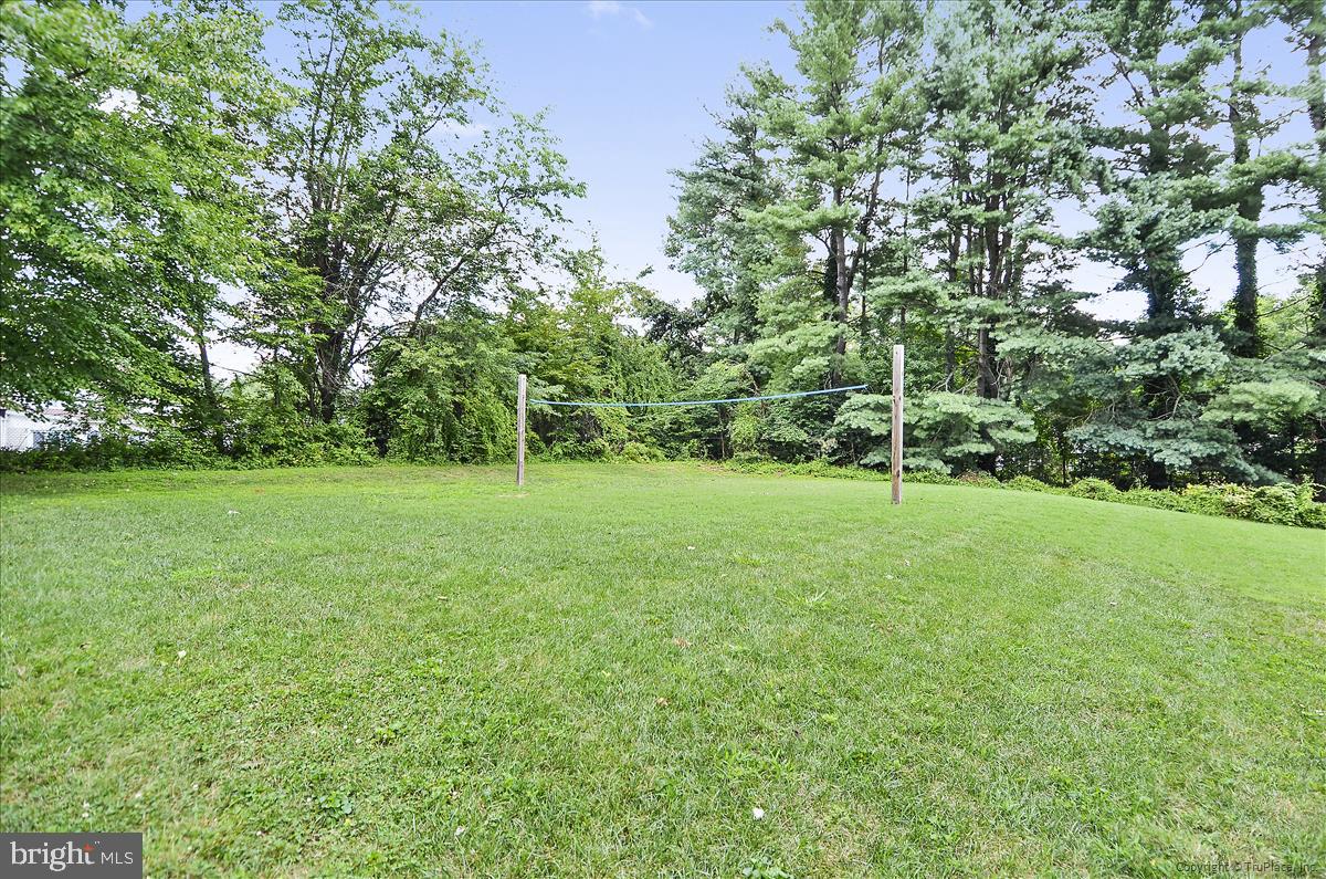 3005 Birchtree Lane Silver Spring, MD 20906 - Photo 65 of 66 Gallery Image 65