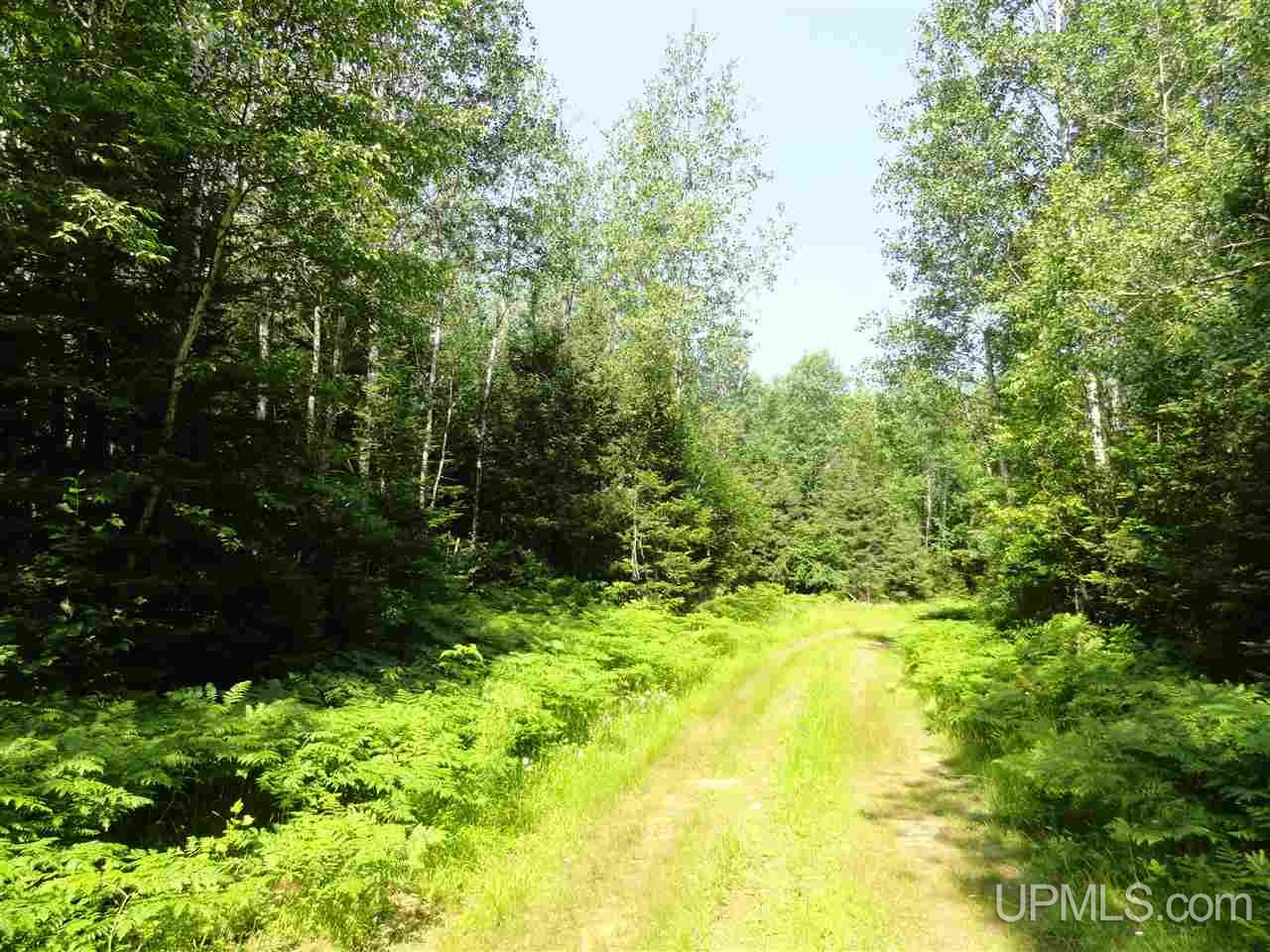 8878 Co Road Republic, MI 49879 - Photo 22 of 34
