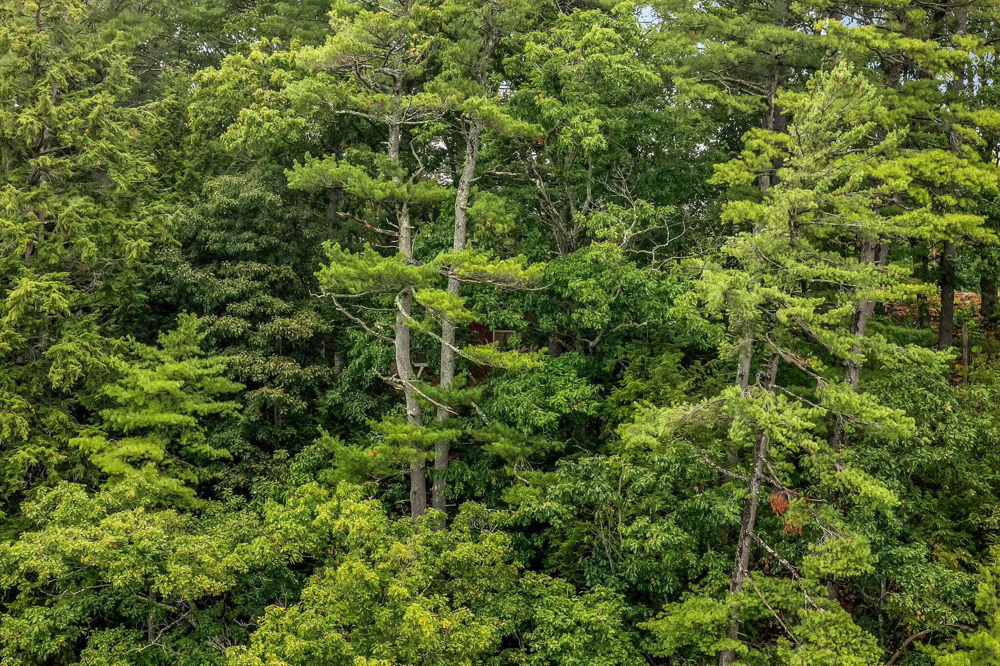 12 Rowell Road Hampden, ME 04444 - Photo 44 of 50