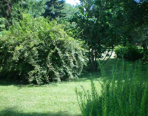 Yard/Garden. 