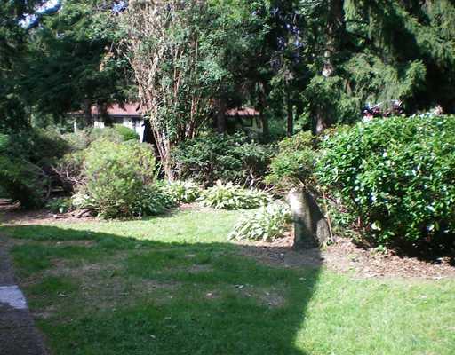 Yard/Garden. 
