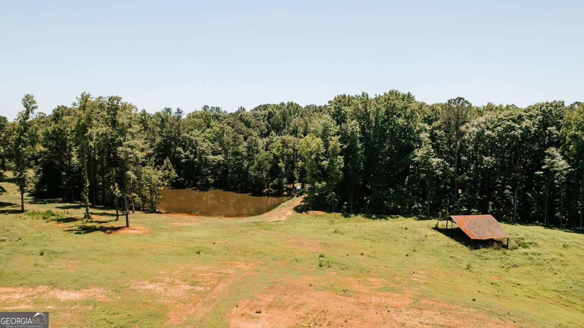 0 Mitchell Farm Road Colbert, GA 30628 - Photo 2 of 45