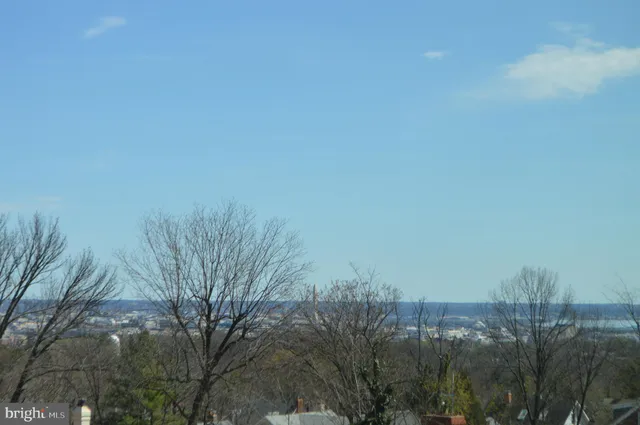 an aerial view of houses covered with trees