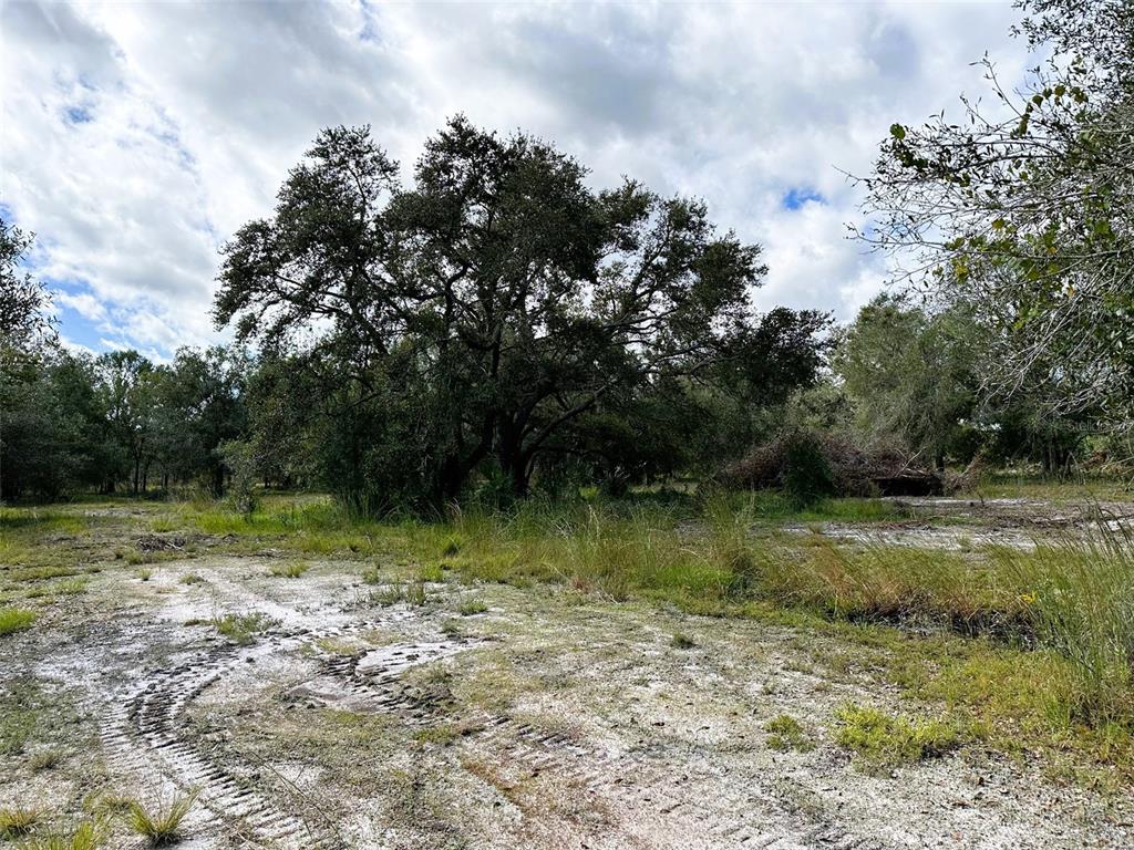 Southeast Tomlin Drive, Unit 2 Arcadia, FL 34266 - Photo 2 of 5