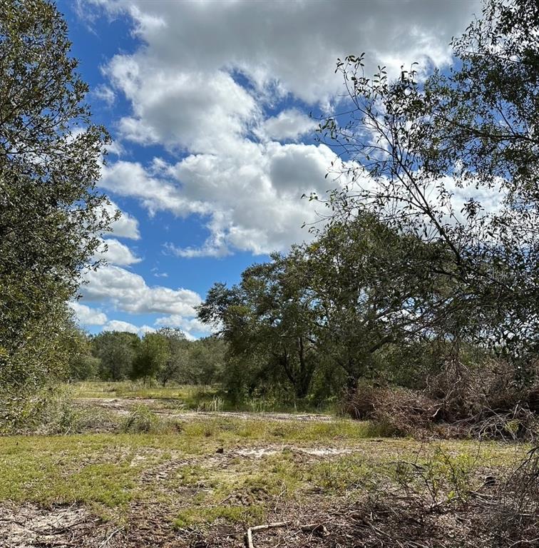 Southeast Tomlin Drive, Unit 2 Arcadia, FL 34266 - Photo 3 of 5