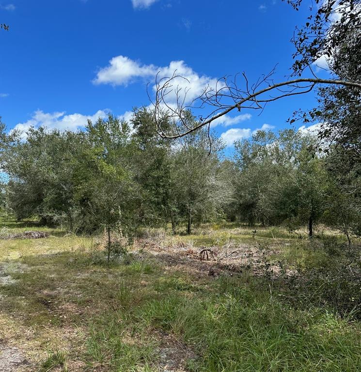 Southeast Tomlin Drive, Unit 2 Arcadia, FL 34266 - Photo 4 of 5