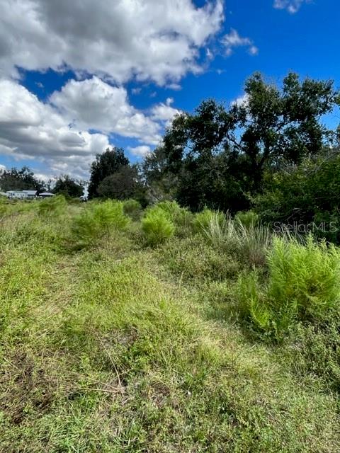 Southeast Tomlin Drive, Unit 2 Arcadia, FL 34266 - Photo 5 of 5