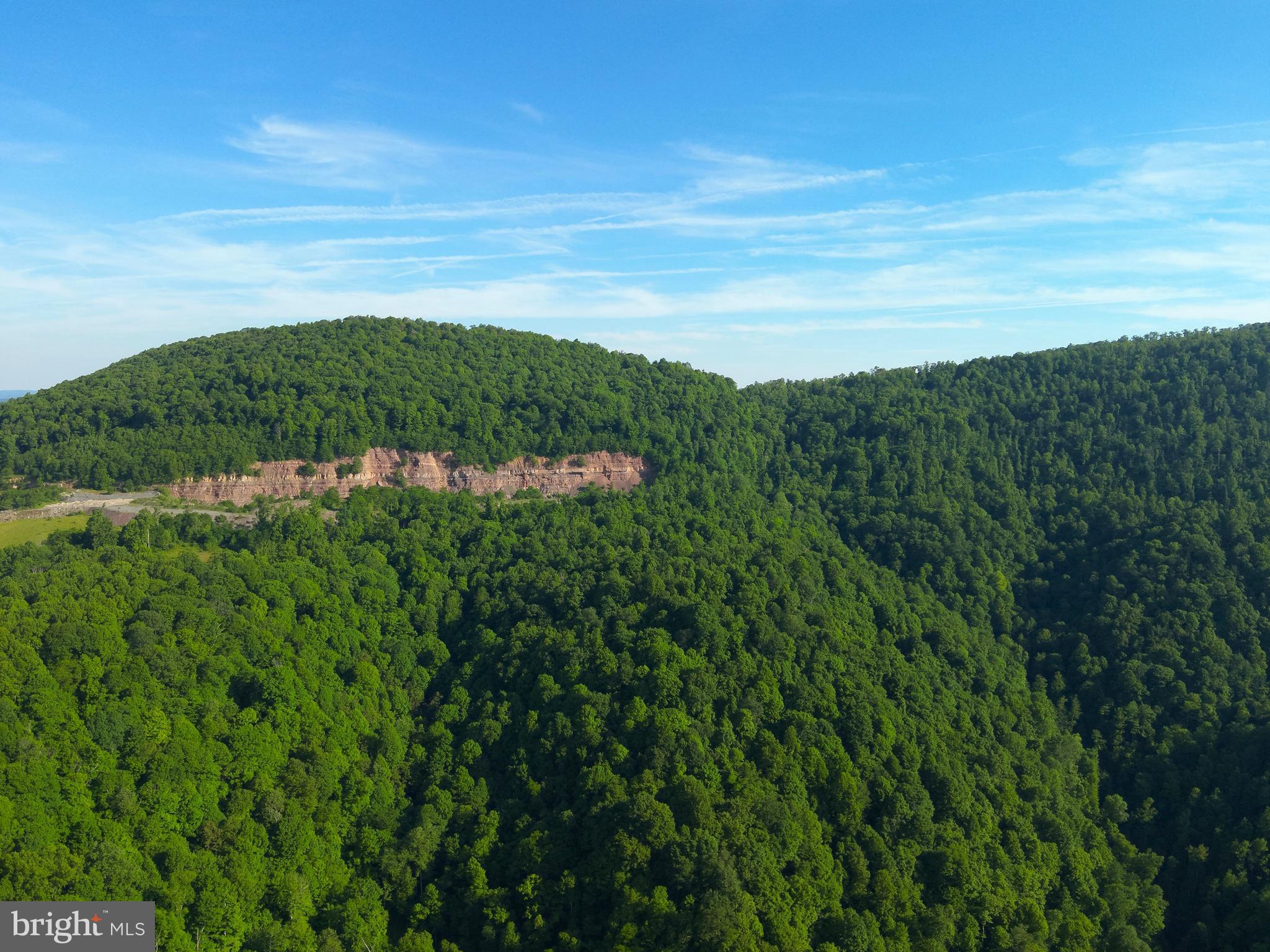 Tbd Calvert Shaver Road Rowlesburg, WV 26425 - Photo 20 of 39