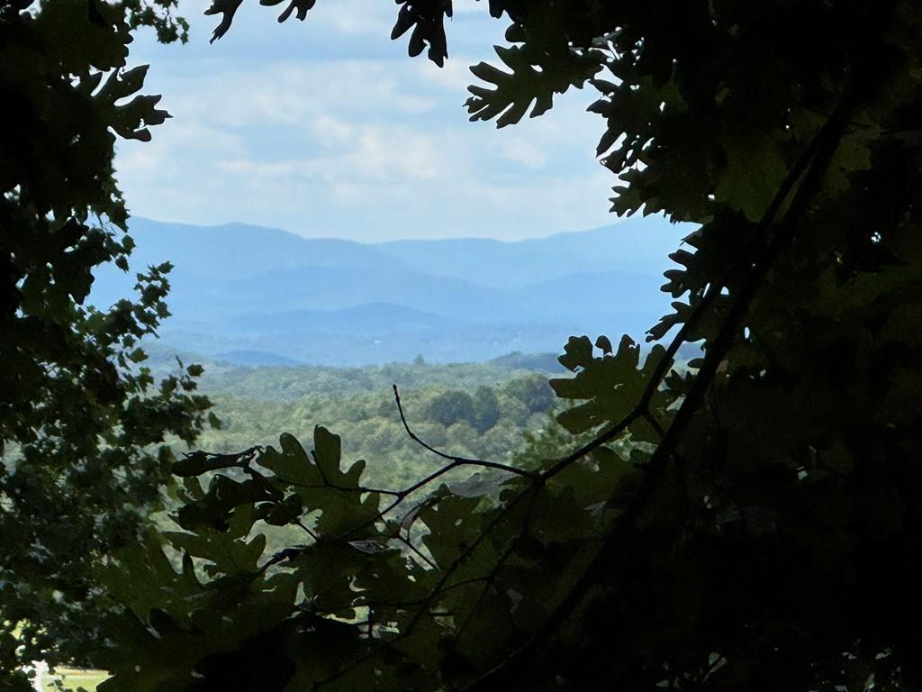 Lot 4 Picklesimer Mountain Road Morganton, GA 30560 - Photo 1 of 14 Main View