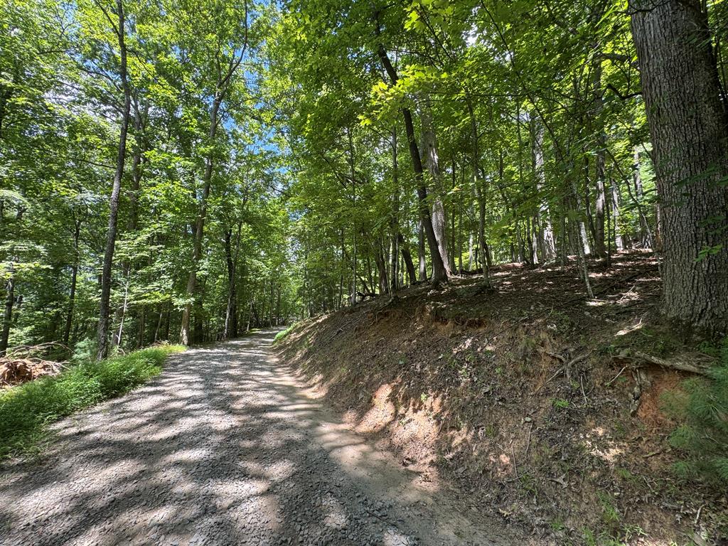 Lot 4 Picklesimer Mountain Road Morganton, GA 30560 - Photo 14 of 14 Gallery Image 14