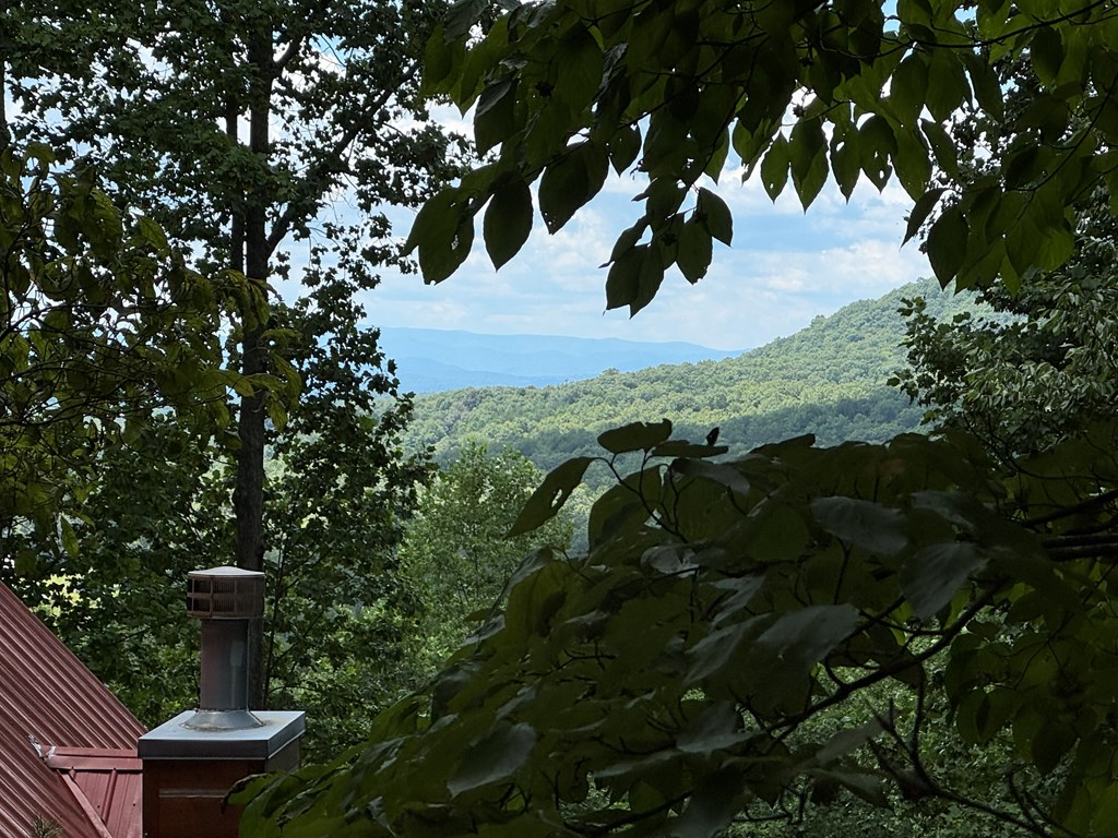 Lot 4 Picklesimer Mountain Road Morganton, GA 30560 - Photo 2 of 14 Gallery Image 2