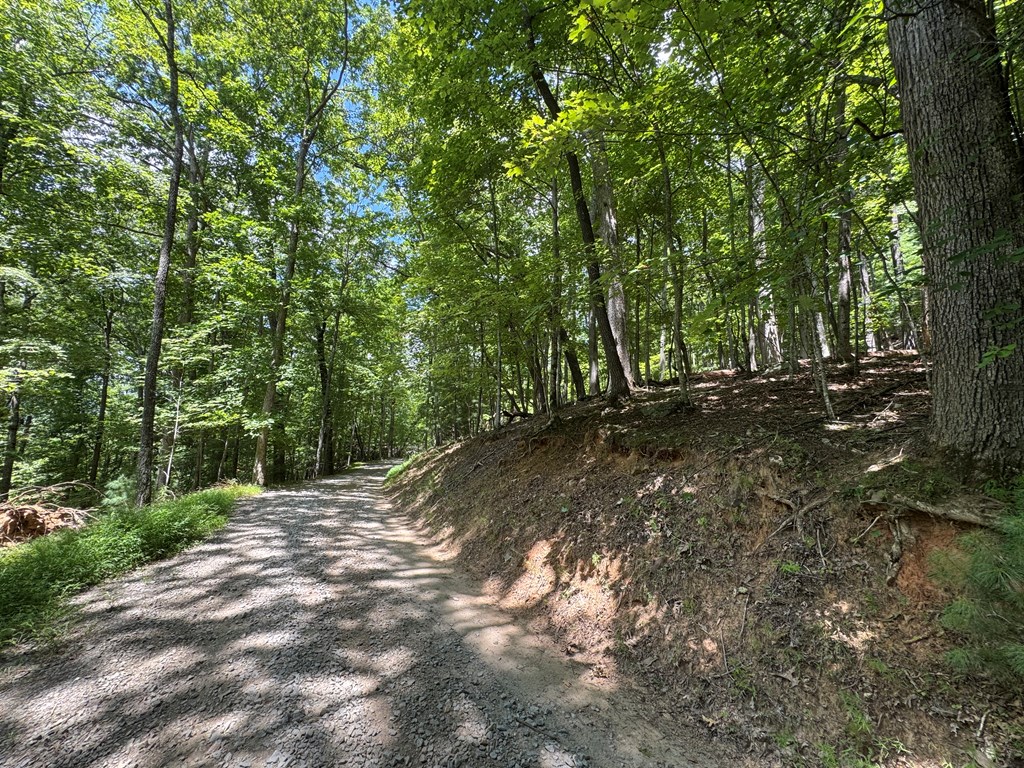 Lot 4 Picklesimer Mountain Road Morganton, GA 30560 - Photo 7 of 14 Gallery Image 7