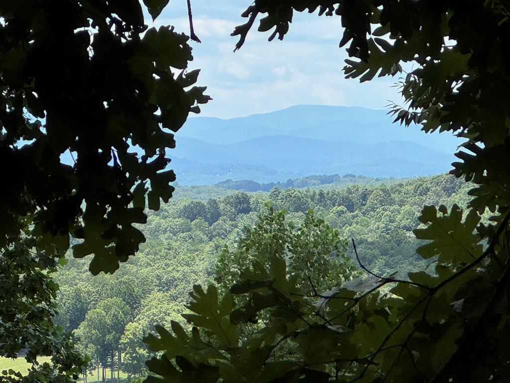 Lot 4 Picklesimer Mountain Road Morganton, GA 30560 - Photo 8 of 14 Gallery Image 8