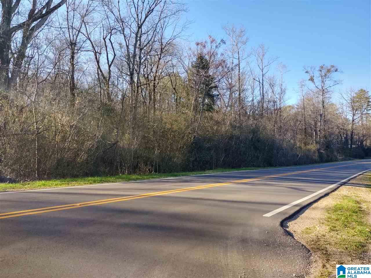 0 Highway 17, Unit 1 Montevallo, AL 35115 - Photo 1 of 7