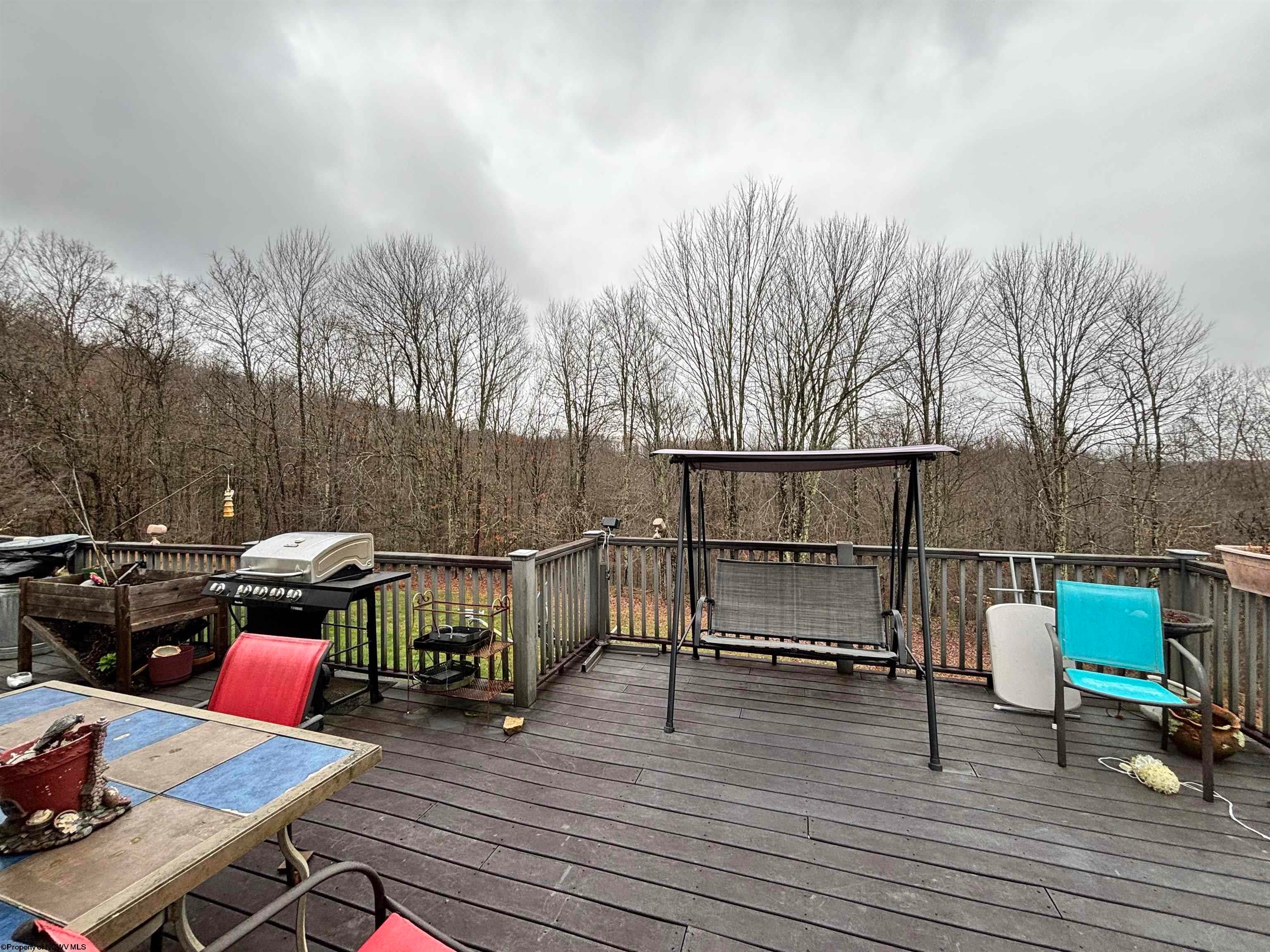 2815 Stalnaker Road Belington, WV 26250 - Photo 24 of 41 Gallery Image 24