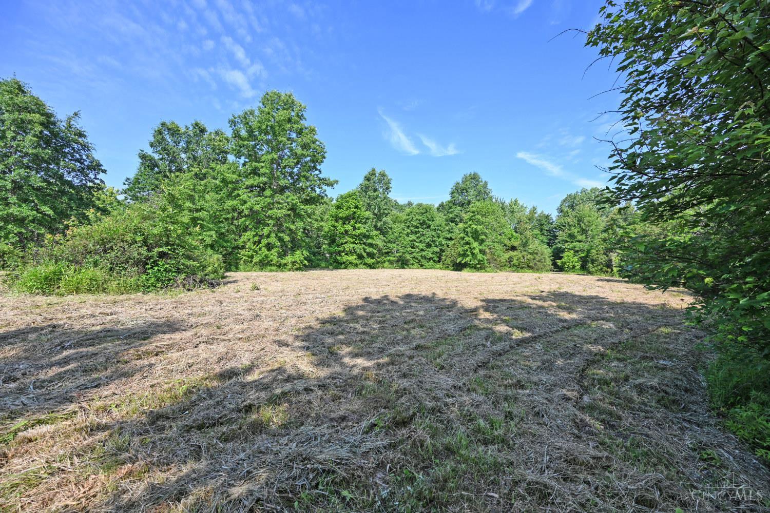 10752 Armstrong Road Pleasant Plain, OH 45162 - Photo 8 of 13
