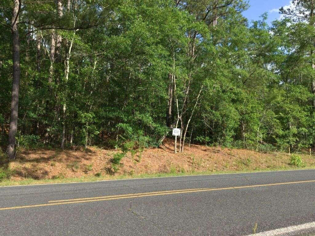 Lot 4 Holiness Church Road Wagener, SC 29164 - Photo 8 of 17
