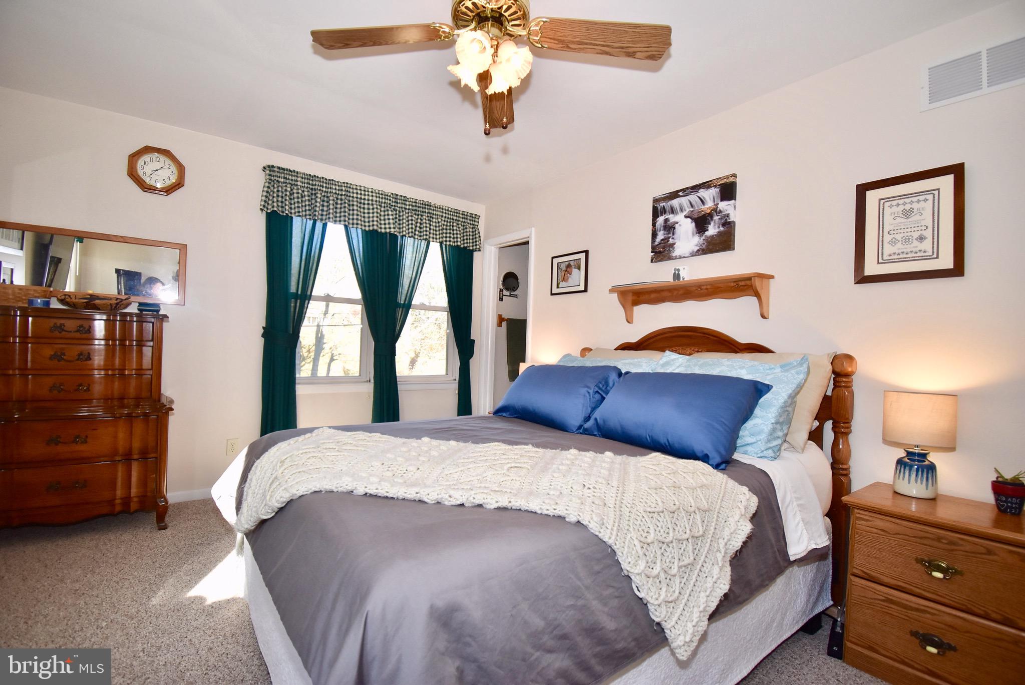 292 Lums Road North East, MD 21901 - Photo 13 of 33 Master Bedroom