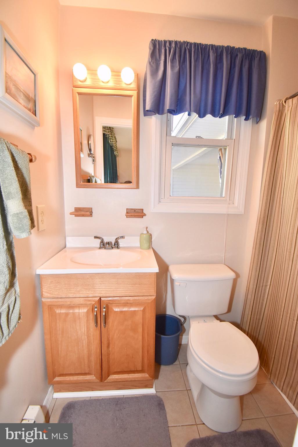 292 Lums Road North East, MD 21901 - Photo 14 of 33 Master Bath