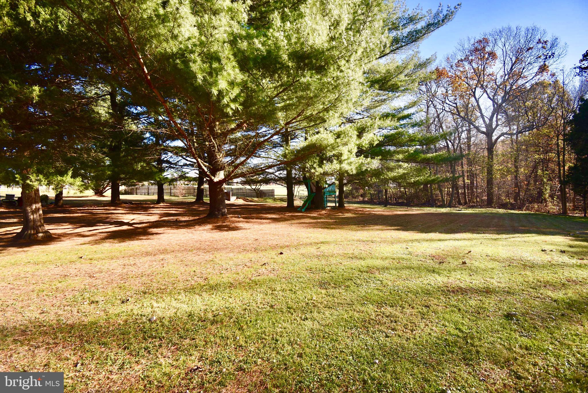 292 Lums Road North East, MD 21901 - Photo 25 of 33 Beautiful Grounds
