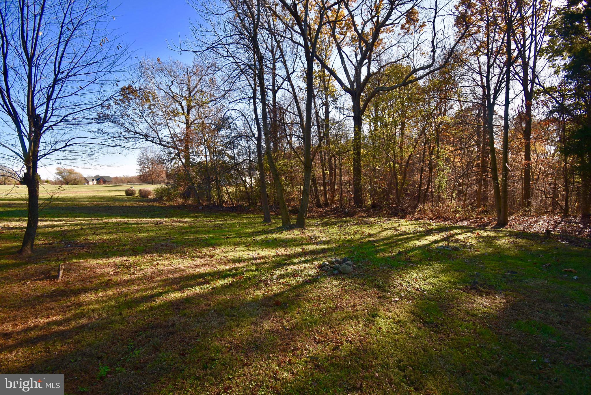 292 Lums Road North East, MD 21901 - Photo 26 of 33 Property Backs to Trees