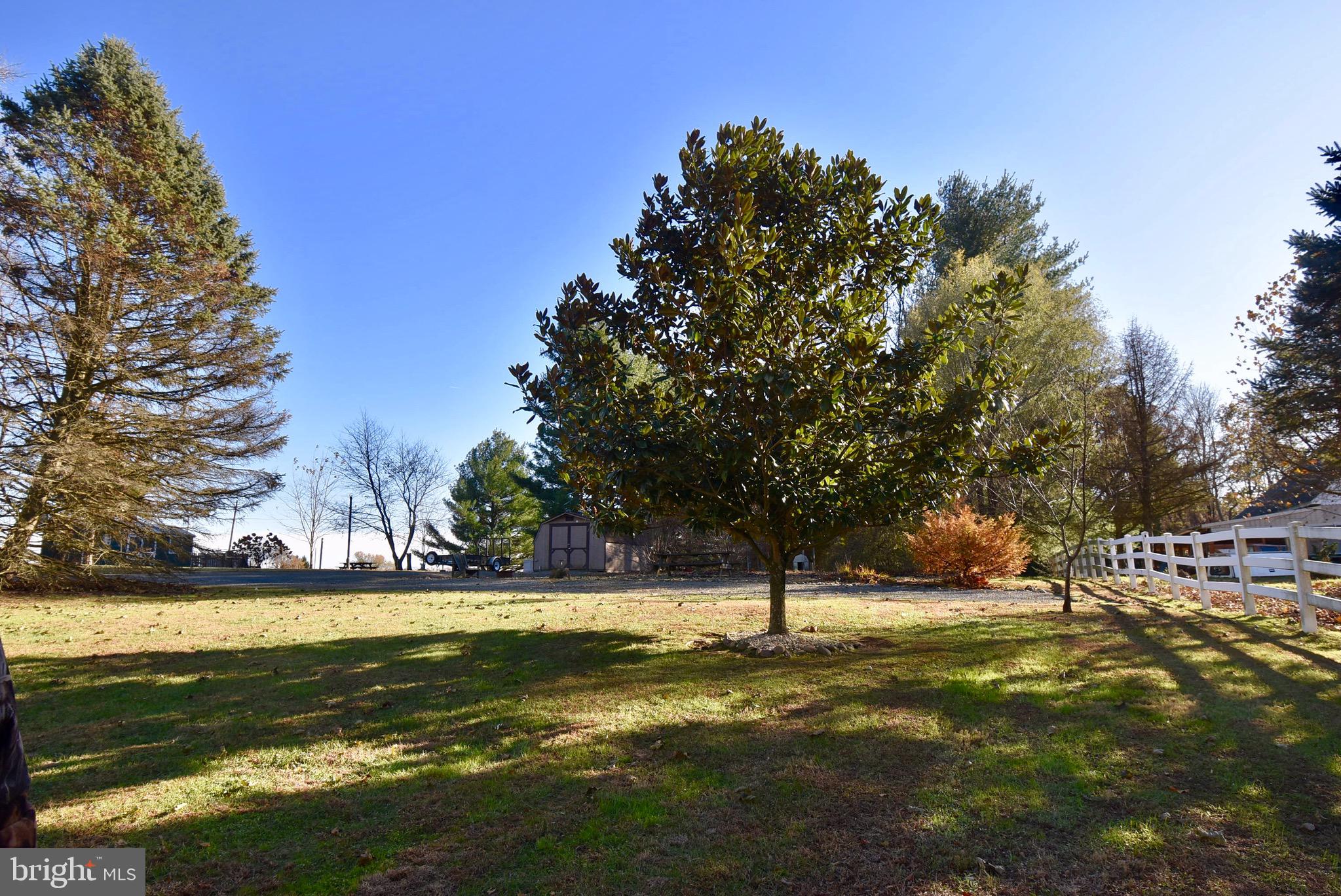 292 Lums Road North East, MD 21901 - Photo 32 of 33 Beautiful Mature Trees
