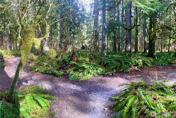 $289,000 | 10500 Mt Baker Highway, Unit 307, Glacier, WA 98244